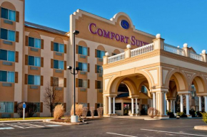  Comfort Suites University Area Notre Dame-South Bend  Юг Бенд